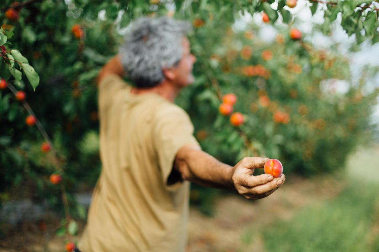Agriturismo Il Querciolo 그레세토 외부 사진