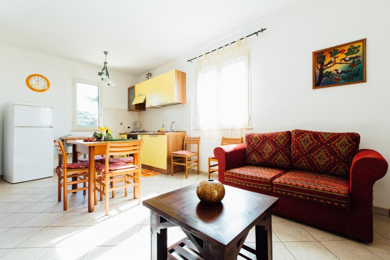 Agriturismo Il Querciolo 그레세토 외부 사진