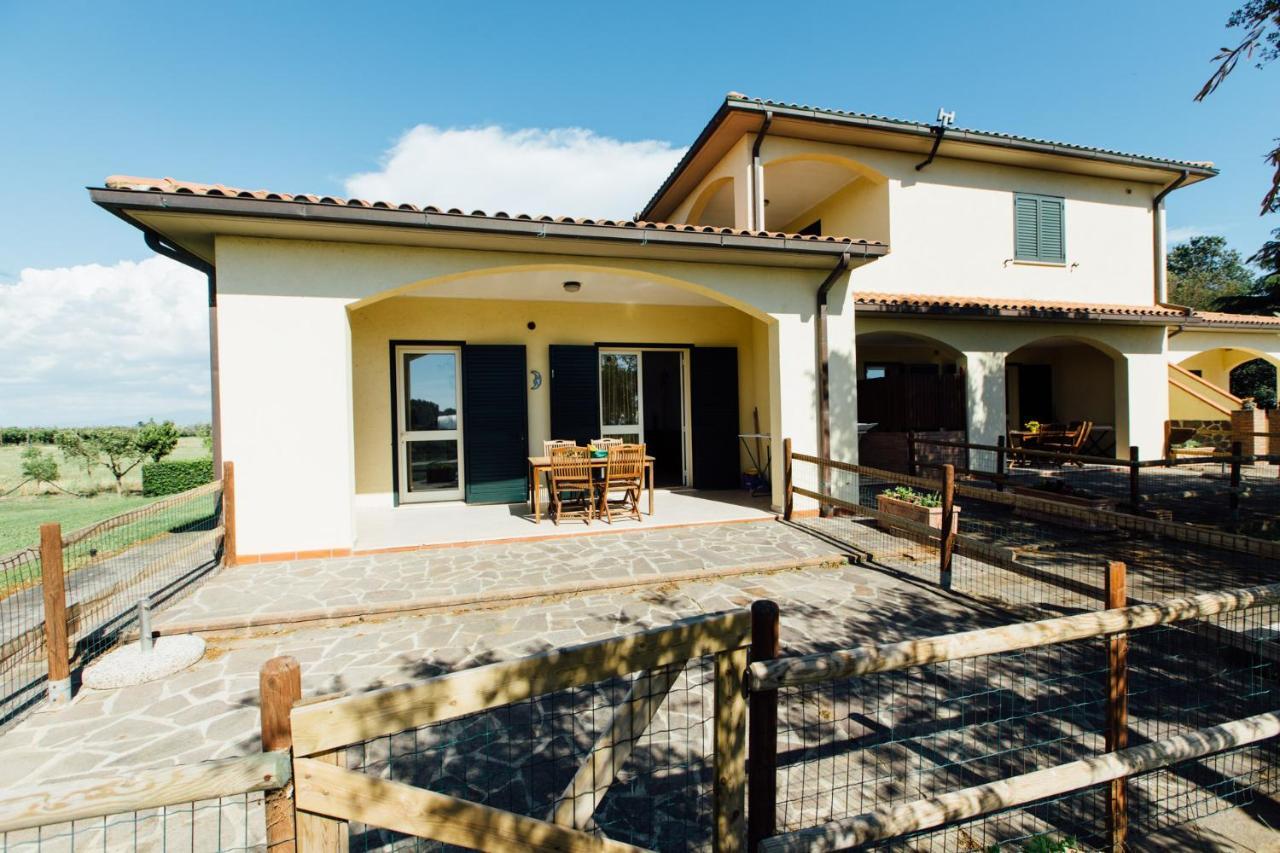 Agriturismo Il Querciolo 그레세토 외부 사진