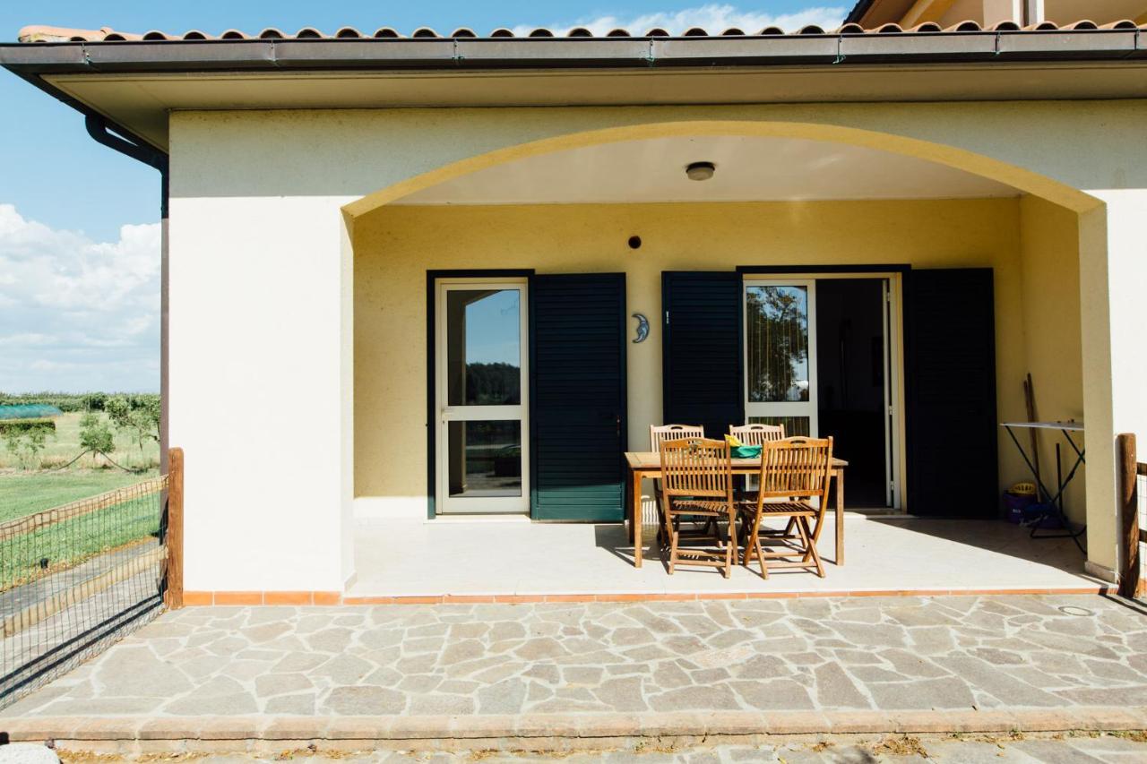 Agriturismo Il Querciolo 그레세토 외부 사진