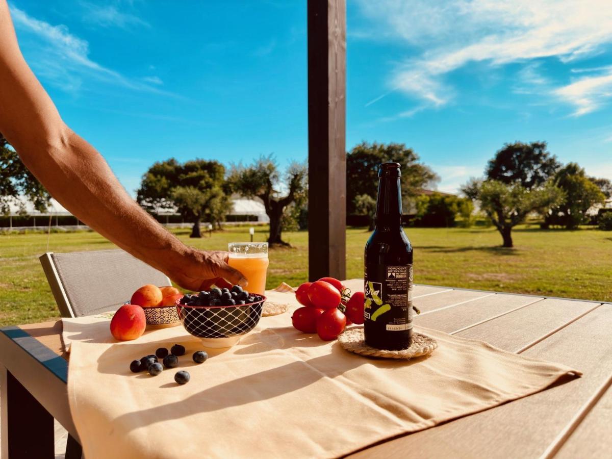 Agriturismo Il Querciolo 그레세토 외부 사진